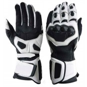 Motorbike Gloves (2)